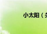 小太阳（关于小太阳介绍）