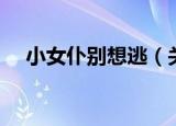 小女仆别想逃（关于小女仆别想逃介绍）