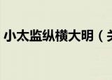 小太监纵横大明（关于小太监纵横大明介绍）