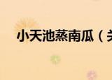 小天池蒸南瓜（关于小天池蒸南瓜介绍）