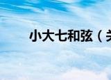 小大七和弦（关于小大七和弦介绍）