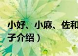 小好、小麻、佐和子（关于小好、小麻、佐和子介绍）