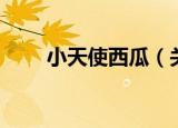 小天使西瓜（关于小天使西瓜介绍）