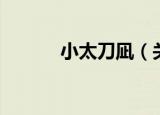 小太刀凪（关于小太刀凪介绍）