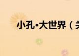 小孔·大世界（关于小孔·大世界介绍）