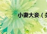 小妻大妾（关于小妻大妾介绍）