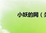 小妖的网（关于小妖的网介绍）