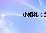 小婚礼（关于小婚礼介绍）