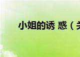 小姐的诱 惑（关于小姐的诱 惑介绍）