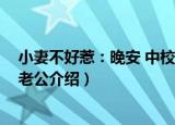 小妻不好惹：晚安 中校老公（关于小妻不好惹：晚安 中校老公介绍）