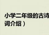 小学二年级的古诗词（关于小学二年级的古诗词介绍）