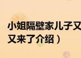 小姐隔壁家儿子又来了（关于小姐隔壁家儿子又来了介绍）