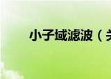 小子域滤波（关于小子域滤波介绍）
