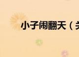 小子闹翻天（关于小子闹翻天介绍）