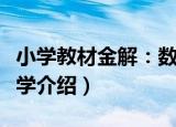 小学教材金解：数学（关于小学教材金解：数学介绍）