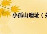 小孤山遗址（关于小孤山遗址介绍）
