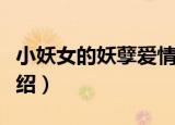 小妖女的妖孽爱情（关于小妖女的妖孽爱情介绍）