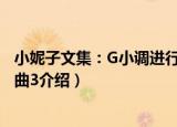 小妮子文集：G小调进行曲3（关于小妮子文集：G小调进行曲3介绍）