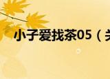 小子爱找茶05（关于小子爱找茶05介绍）