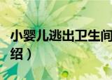 小婴儿逃出卫生间（关于小婴儿逃出卫生间介绍）