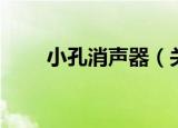 小孔消声器（关于小孔消声器介绍）