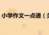 小学作文一点通（关于小学作文一点通介绍）