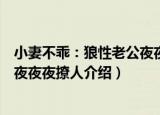 小妻不乖：狼性老公夜夜夜撩人（关于小妻不乖：狼性老公夜夜夜撩人介绍）