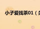 小子爱找茶01（关于小子爱找茶01介绍）