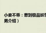小妾不乖：惹到极品妖孽男（关于小妾不乖：惹到极品妖孽男介绍）