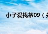 小子爱找茶09（关于小子爱找茶09介绍）