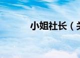 小姐社长（关于小姐社长介绍）