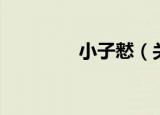 小子慭（关于小子慭介绍）