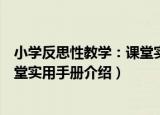 小学反思性教学：课堂实用手册（关于小学反思性教学：课堂实用手册介绍）