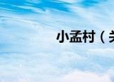 小孟村（关于小孟村介绍）