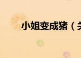 小姐变成猪（关于小姐变成猪介绍）