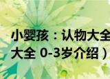 小婴孩：认物大全 0-3岁（关于小婴孩：认物大全 0-3岁介绍）