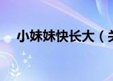 小妹妹快长大（关于小妹妹快长大介绍）