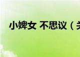 小婢女 不思议（关于小婢女 不思议介绍）