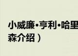 小威廉·亨利·哈里森（关于小威廉·亨利·哈里森介绍）