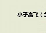 小子高飞（关于小子高飞介绍）