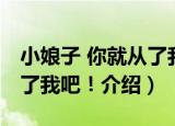 小娘子 你就从了我吧！（关于小娘子 你就从了我吧！介绍）