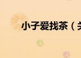 小子爱找茶（关于小子爱找茶介绍）