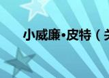 小威廉·皮特（关于小威廉·皮特介绍）