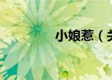 小娘惹（关于小娘惹介绍）