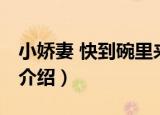 小娇妻 快到碗里来（关于小娇妻 快到碗里来介绍）