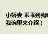 小娇妻 乖乖到我碗里来（关于小娇妻 乖乖到我碗里来介绍）