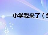 小学我来了（关于小学我来了介绍）