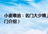 小妻难逃：名门大少缠上门（关于小妻难逃：名门大少缠上门介绍）