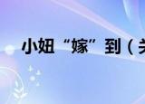 小妞“嫁”到（关于小妞“嫁”到介绍）