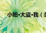 小妞·大盗·我（关于小妞·大盗·我介绍）